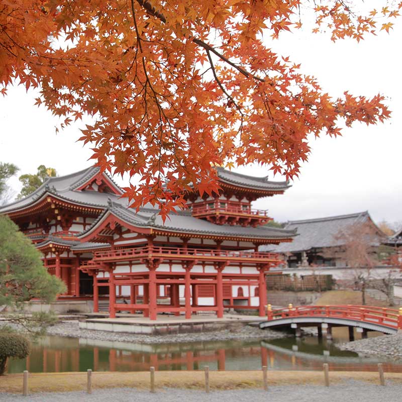 Pokémon GO~Kyoto~