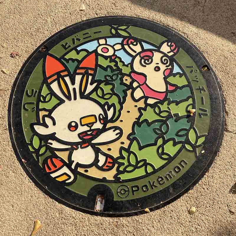 Pokémon GO~Kyoto~