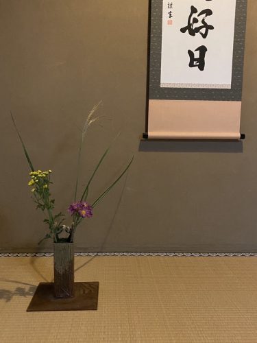 tea flower